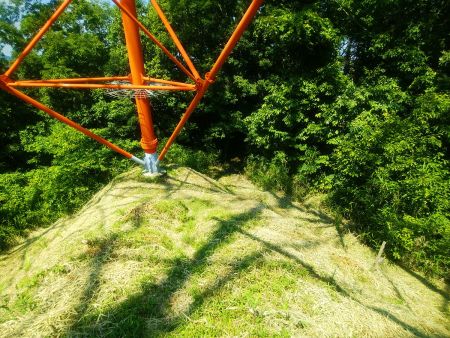 さて、東照山から尾根で下山していく。国土地理院地図の破線があるし、尾根道なので迷うことはないだろうと思ってた