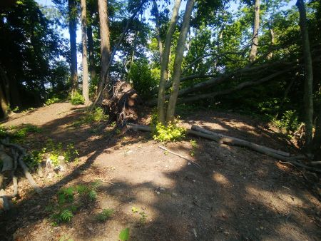 ここで左右の尾根に分岐するが地図だと右側の尾根を下るので右の尾根を下っていく