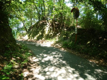 なんとか林道に出ることができた。最後はめちゃくちゃに道路に向かって下る感じだった