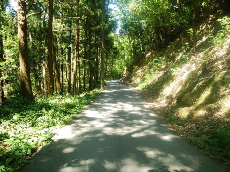 この林道は一度車で通ったことがあるんだけど長いんだよね