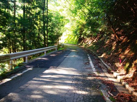 最初は林道歩き。これが結構長い