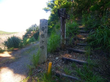 せっかくなので青根ヶ峰に行ってみることにした