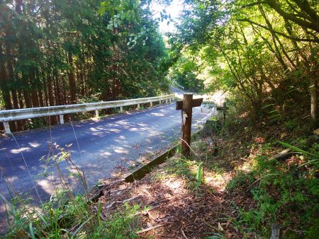 再び道路にでて林道を歩いていく