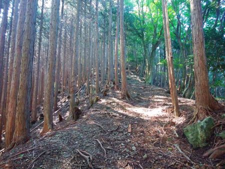 レール越しに結構な登りが続く