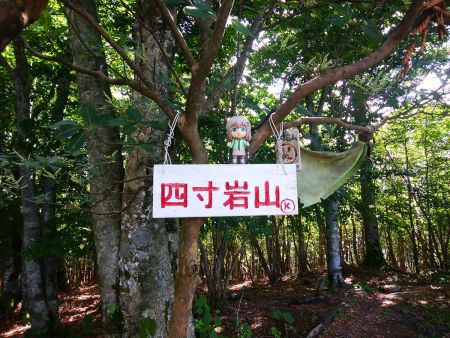 せっかくなので雪村あおいちゃんとプレートを撮影してみる
