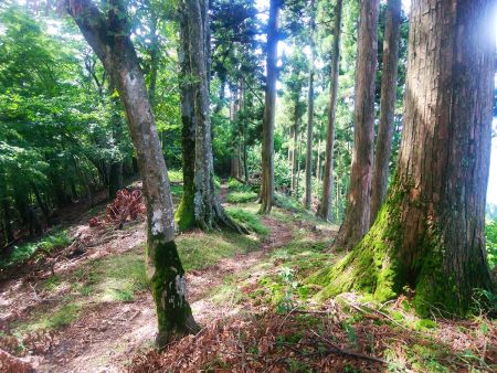 四寸岩山から向こう側は下りが続く。これをまた登り返すのかと思ったら心折れそうだけどね