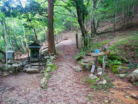 ここで近畿自然歩道だと直進して五番関までトラバースできるみたいだけど、とりあえず大天井ヶ岳は右側の尾根を登っていく