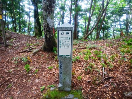 急登を登りきったら大天井ヶ岳は右ですぐそこ