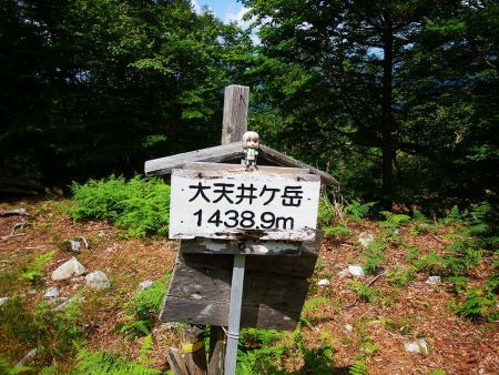 ここでも雪村あおいちゃんと山頂看板を撮影してみる