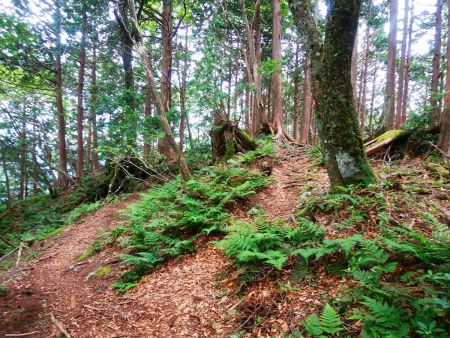 午前中に大天井ヶ岳に到着できたので調子に乗って五番関まで行ってトラバースルートで戻ることにした