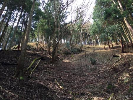 稜線が見えたが、ここからちょっとまだジグザグが続く