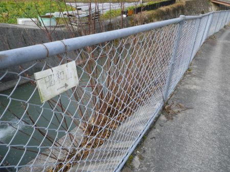 昭和山へのプレートがあるので従って進んでいく