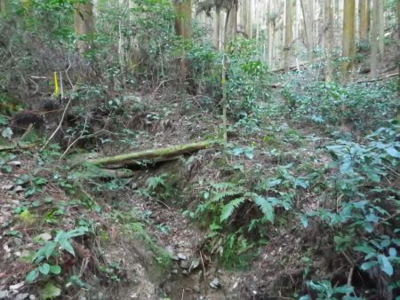 沢沿いの道を踏み跡とテープを頼りに進んでいく