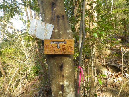 昭和山まで2.6kmと書いてあるが、普通に行くと40分くらいだけど、アップダウンがあるのでかなり時間がかかりそう