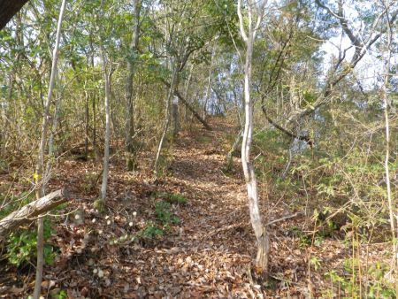 写真では伝わらないけど、また結構な登りになっている。この先、こういうのが何度続くのか数えてなかった