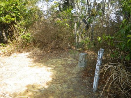 昭和山（374.56m）に到着。三角点以外は何もないただのピークって感じだった。昭和山ってくらいだから昭和の時代に山頂になったのかな！？
