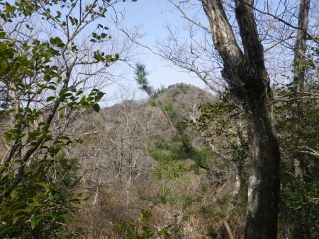 軽くピークを登ったところで少し高い山が見えた。あれが四石山かな？って思いきや、実はあのピークを登って下ったところが槌ノ子峠になるんだよね