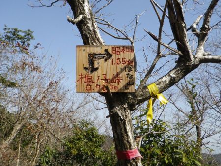 槌ノ子峠まであと0.7kmだけど、実はこの先、一旦少し下ってさっき見えていた山への登りがはじまる