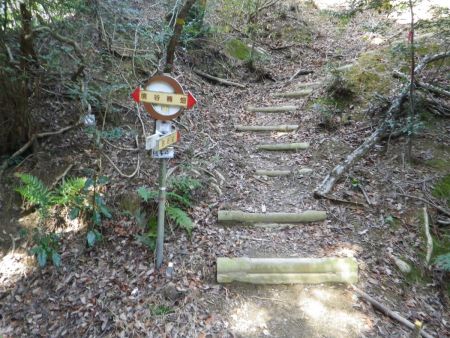 なんとかピークに登って下っていったところでやっと槌ノ子峠に到着。昭和山から1時間40分かかってしまった