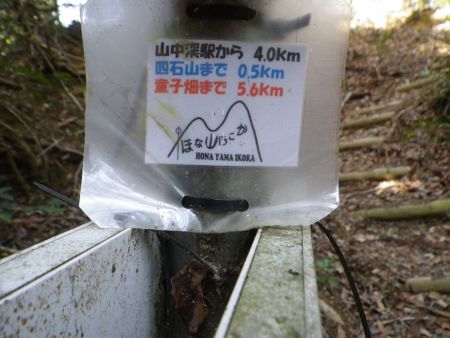 四石山まで0.5kmということで標高差も120mほどなので一気に四石山へ登ってしまって大休憩することにした