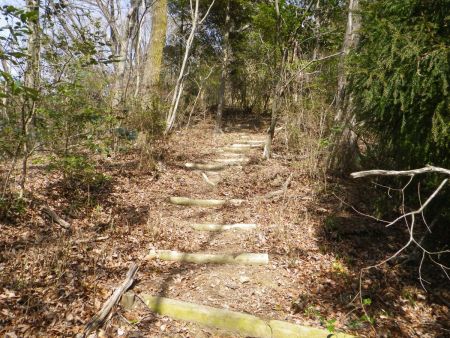 ここにきて階段だらけの登りになってるのは最後の試練なのだろうか！？