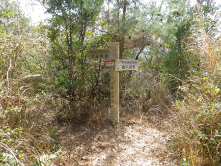 目を覚まして一本とったらさっさと下山することにした。昔は山中渓駅のほうからのルートを考えていたんだけど、今回は信達楠畑の集落のほうから戻る