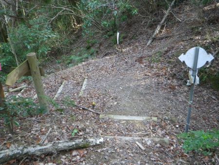 槌ノ子峠まで下ってきた。階段の道だから下りは早かった