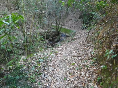 沢沿いの道を進みながら分岐のほうへ戻っていくんだけど、この沢沿いの登山道はかなり荒れていて歩きにくい