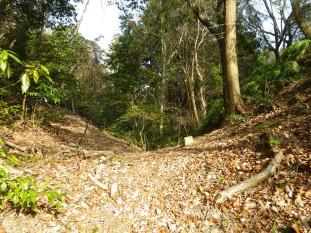 最初の分岐に戻ってきた。もう四石山からぶっとおしで歩いてきたので、ここで最後の休憩をとることにした