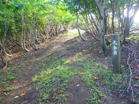 ここで九合目らしい。一合目はもっと下にあるのかな！？