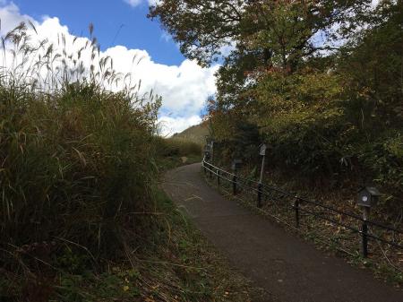 この坂を登っていくと曽爾高原