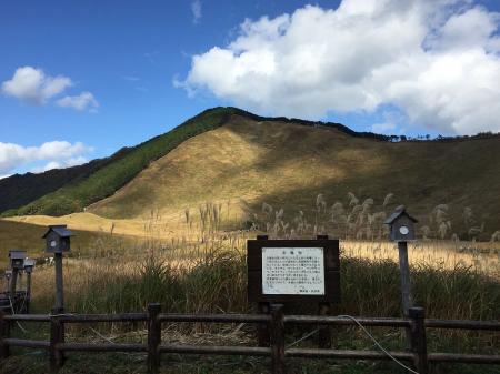 お亀お池のところ。曽爾高原は小麦色になっている