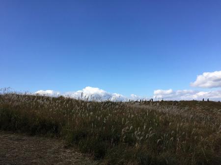 ススキがたくさんだな。夕方に期待できそう