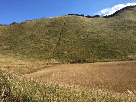 直登の登りが見えるけど、こっちは前回キツかったので避ける