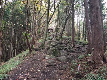 二本ボソへの登り。岩がごつごつしていて少し登りにくかった