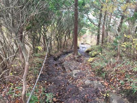 二本ボソから一旦下る