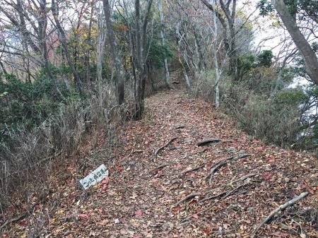 倶留尊山への登り。結構急登そうな気配がする