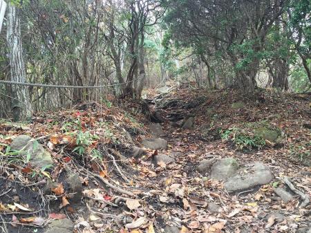 すごい急登かと思ったらそうでもない感じだったけど、ちょいしんどいかな