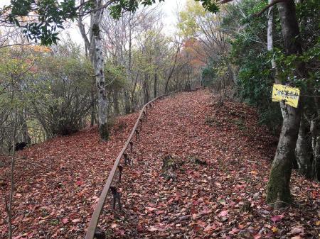 倶留尊山の向こう側にレールがあったので辿ってみる