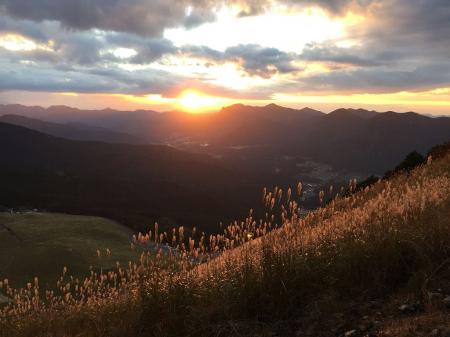 これが黄金色に輝くススキかな。夕日のオレンジに染まるススキは良い色合いだった