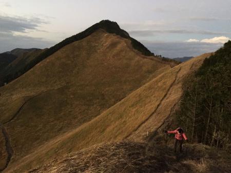 ここから曽爾高原ではなくて亀山山頂経由で尾根伝いに下りていくことにした