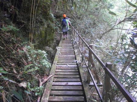 木が腐っていて抜けそうなので心配