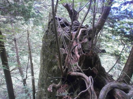 ここも横断・・・もはや絶壁を歩いている