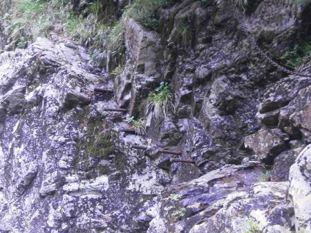 今度は空中回廊