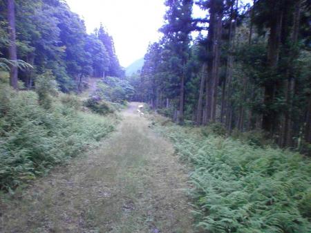 金引橋分岐に戻った。狼平から2時間程度だった。双門ルートは9時間だったのに！？ 