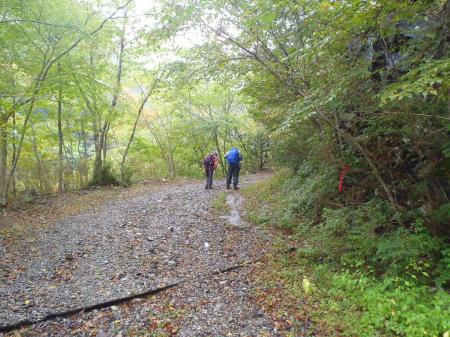 相変わらず金引橋分岐まではダルい道