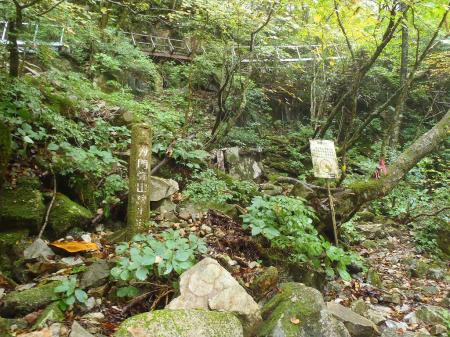 ここからアスレチック開始