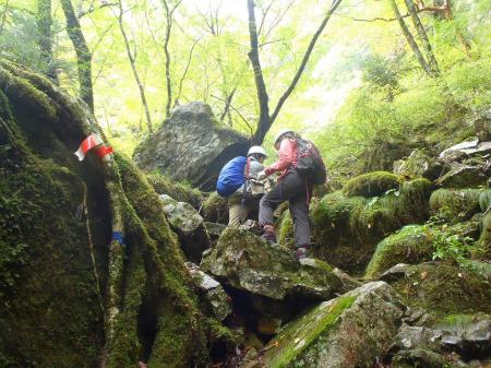 登って沢を巻く