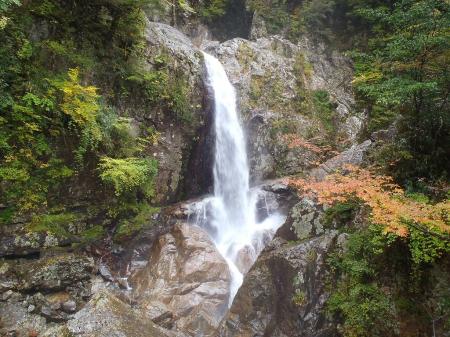 紅葉はじめの一の滝。完全紅葉だと綺麗だろう