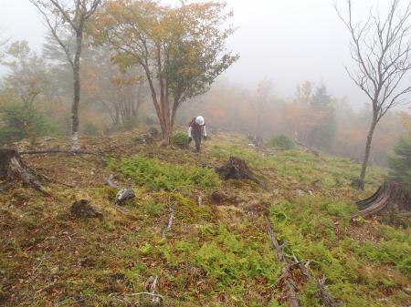 ここからは地図にないルートで道なき道を登る